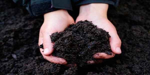 تصویر 5 از قیمت خرید خاک پرومکس ۱۵ لیتری + قیمت فروش استثنایی